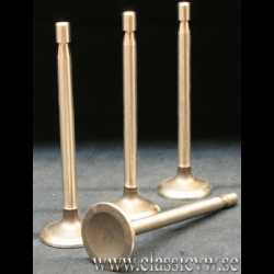 VENTIL INSUG 30 HK  (4 ST) VENTIL INSUG 30 HK  (4 ST)